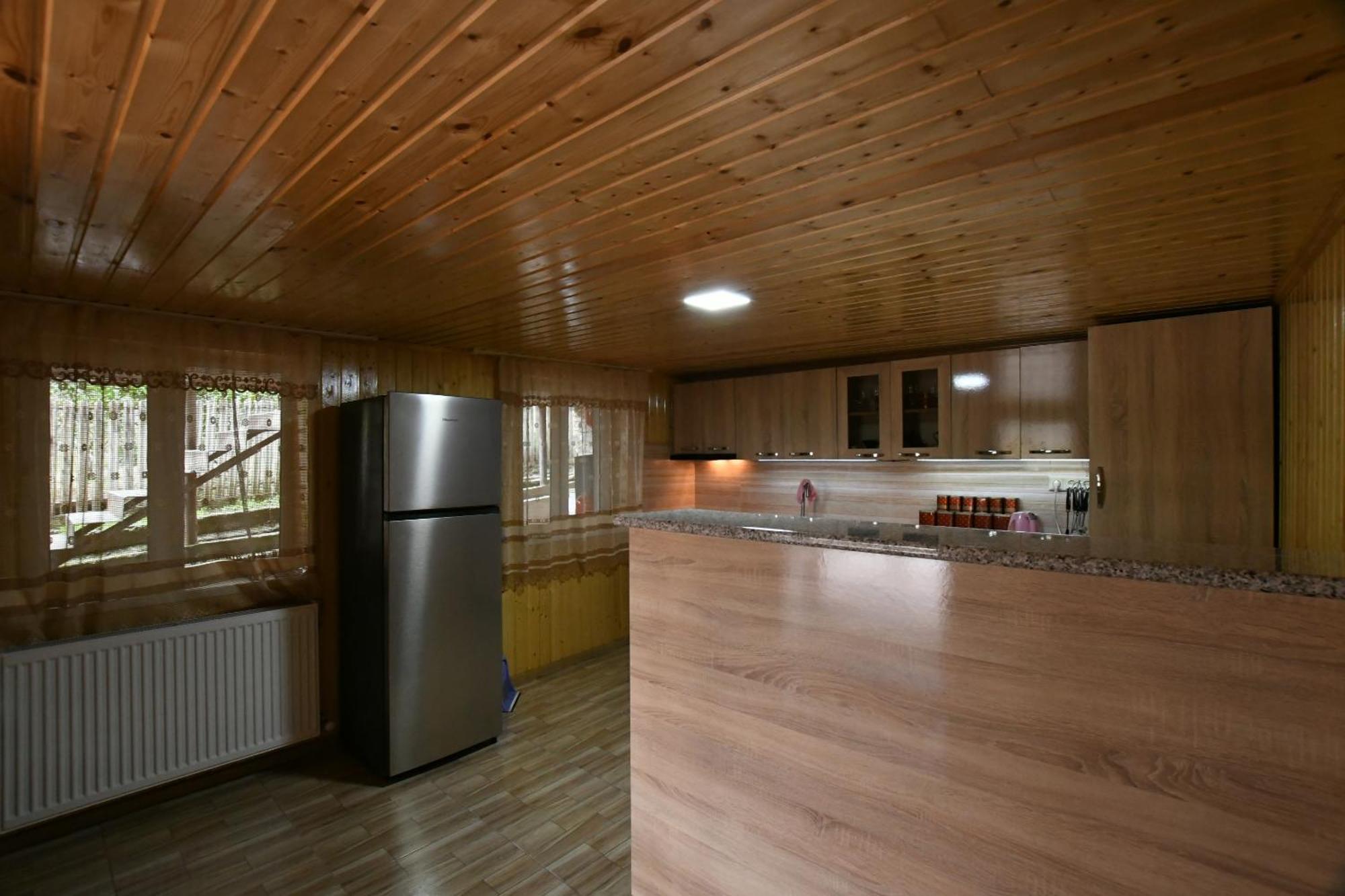 Villa Nika House à Tskhaltubo Extérieur photo